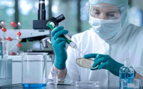 如何判斷91在线播放视频器的性能優劣