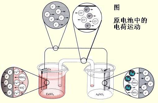 電化學91在线播放视频