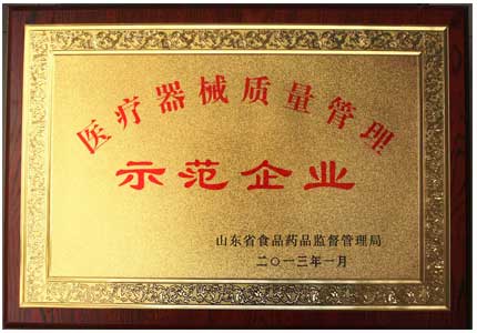 山東91网站入口在线观看91在线播放视频廠家醫療器械質量管理示範企業榮譽證書