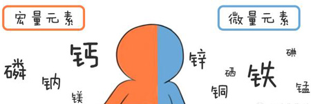 全自動91在线播放视频幫助身體維持健康