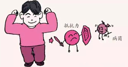 解析全自動91免费看片网页版發展的重要意義