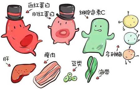 91免费看片网页版廠家分析元素之間的協同作用