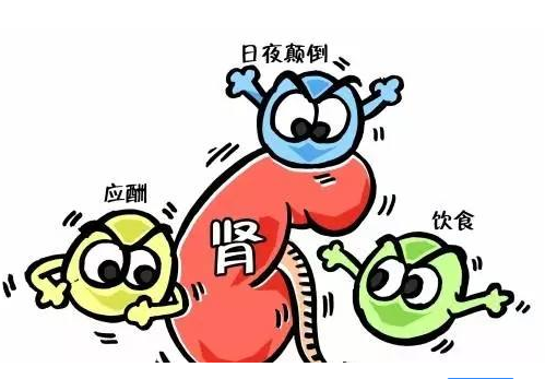 全自動91免费看片网页版廠家談腎髒病與微量元素的關係