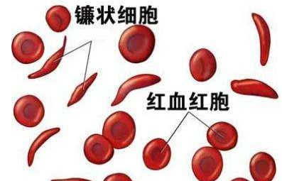 人體91在线播放视频廠家介紹檢測微量元素的儀器 人體91在线播放视频廠家介紹檢測微量元素的儀器