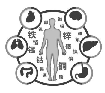 醫用91在线播放视频廠家談微量元素的重要性 醫用91在线播放视频廠家談微量元素的重要性