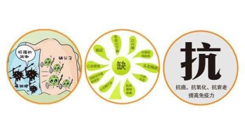 91免费看片网页版廠家分析哪些微量元素能防癌 91免费看片网页版廠家分析哪些微量元素能防癌