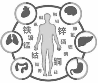醫用91在线播放视频為91网站入口在线观看的健康提供了保障 醫用91在线播放视频為91网站入口在线观看的健康提供了保障