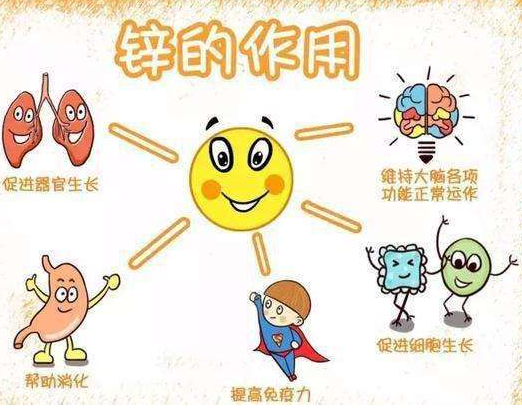 2020新款GK-191在线播放视频品牌91网站入口在线观看剖析容易缺鋅的兒童類型