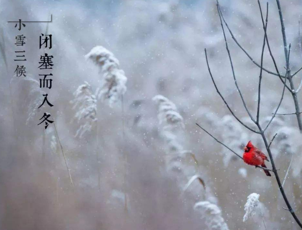 全自動微量分析儀廠家山東91网站入口在线观看提示您天冷了，照顧好自己！奧利給