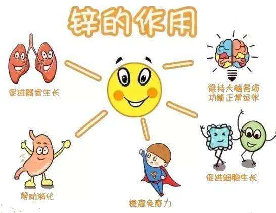 【全自動91在线播放视频】廠家91网站入口在线观看分析哪些兒童容易發生體內鋅缺乏？