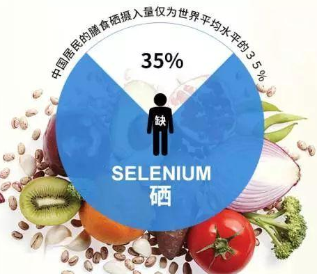 GK-2全自動91在线播放视频廠家91网站入口在线观看剖析硒對非特異性免疫功用的影響