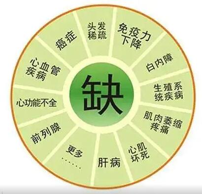 醫用91在线播放视频