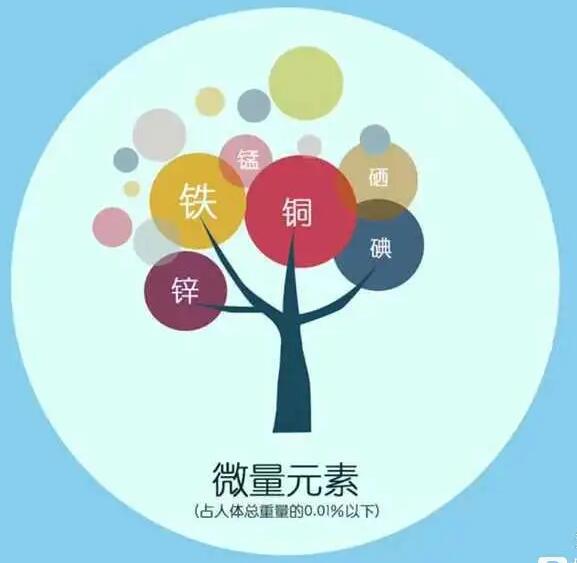 人體91在线播放视频廠家哪家好