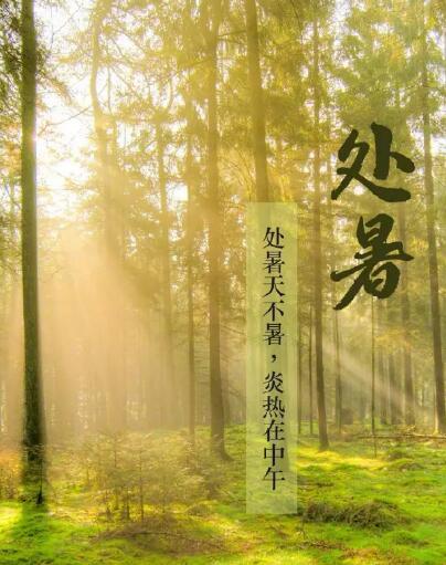 91在线播放视频品牌91网站入口在线观看提醒處暑每天做3件事情，健脾開胃，穩定出伏