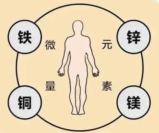 全自動91在线播放视频廠家提示原創鐵是身體必須微量元素之一，哪些食物含鐵高呢？