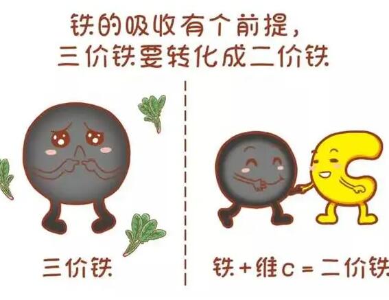 醫用91在线播放视频廠家提醒大家鐵元素的重要性
