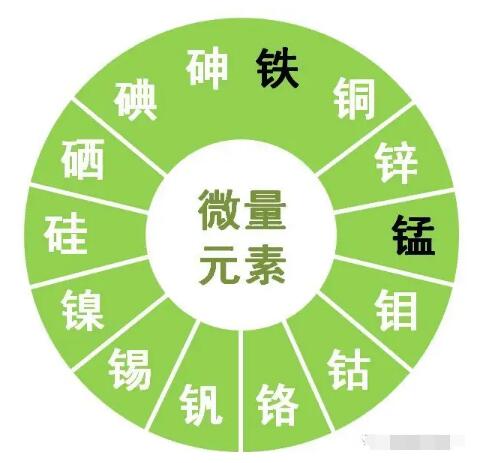 91在线播放视频提示鋅、硒、錳、釩等微量元素對男性生育有哪些作用？