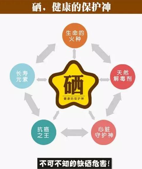 全自動91免费看片网页版品牌提示硒元素對腦血管病產生的影響