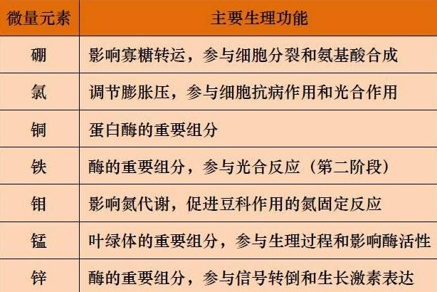 山東聊城全自動血鉛檢測儀一體機：微量元素的主要作用8.20